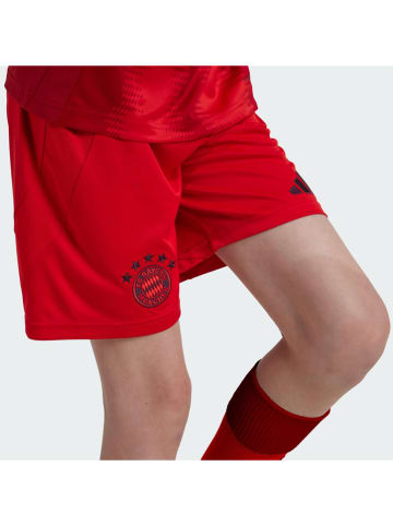 adidas Trainingsshorts "FC Bayern" in Rot