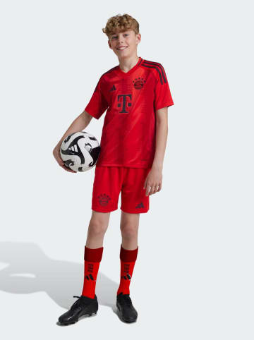 adidas Szorty sportowe "FC Bayern" w kolorze czerwonym