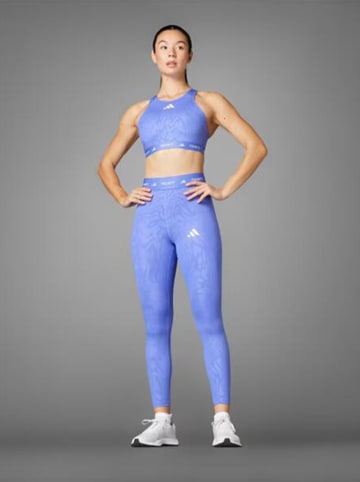 adidas Trainingsleggings in Lila