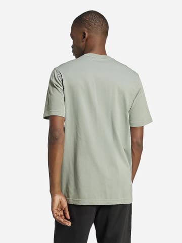 adidas Koszulka "Trefoil Essentials" w kolorze zielonym