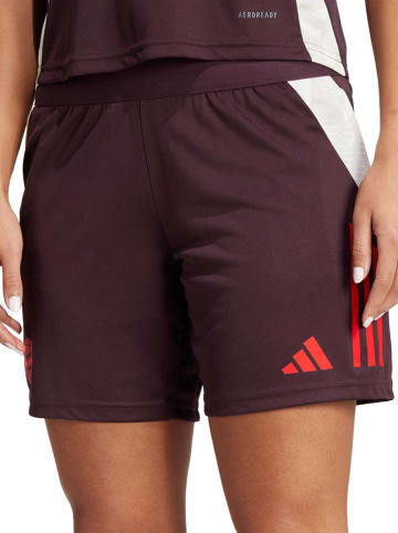 adidas Trainingsshort "Bayern Munich Tiro" rood