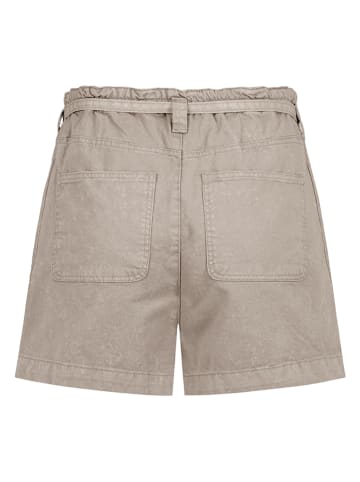 Sublevel Shorts in Taupe