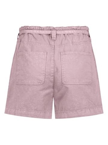 Sublevel Shorts in Rosa
