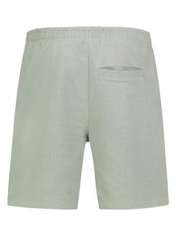 Sublevel Shorts in Mint