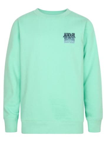 Petrol Industries Sweatshirt groen