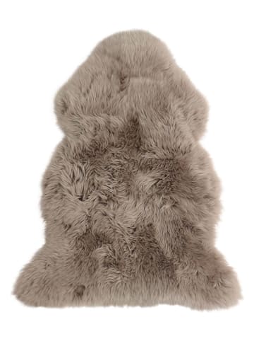 Kaiser Naturfellprodukte Lammfell in Taupe