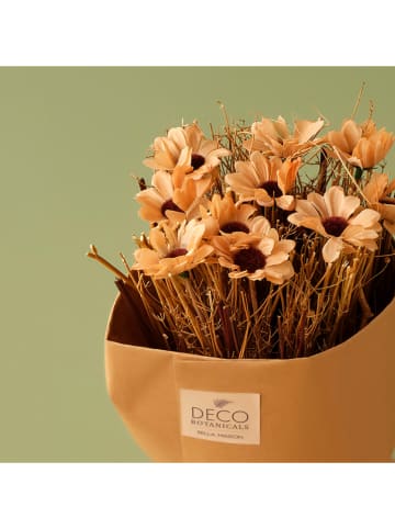 BELLA MAISON Bos droogbloemen "Daisy Dal" oranje - (H)35 cm