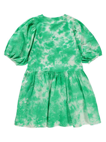 molo Sukienka w kolorze zielonym