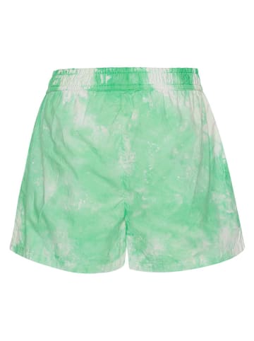 molo Shorts in Grün