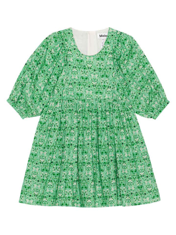 molo Kleid in Grün