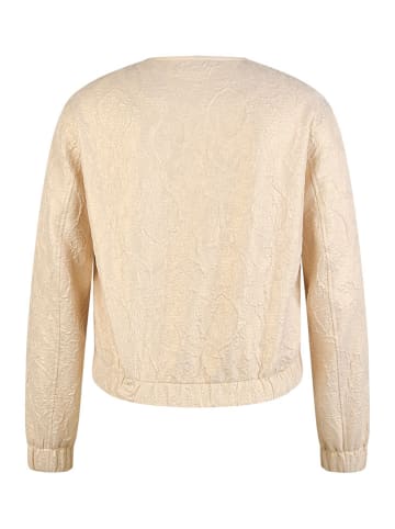 LCMT Le Comte Tusssenjas beige