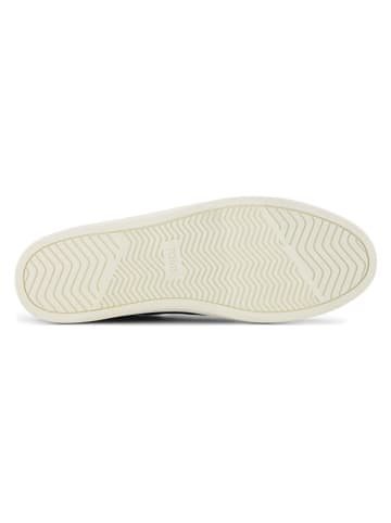 TOMS Slipper in Dunkelblau