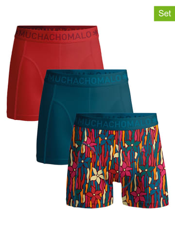 Muchachomalo Bokserki (3 pary) w kolorze granatowo-czerwonym