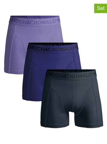 Muchachomalo 3-delige set: boxershorts paars/donkerblauw/antraciet