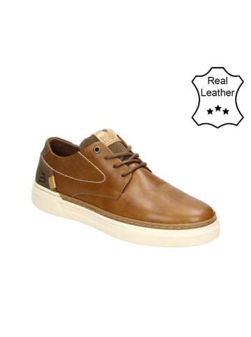 Bullboxer Leder-Sneakers in Cognac