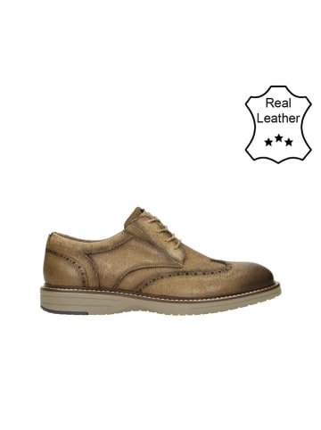 Bullboxer Leder-Schnürschuhe in Taupe