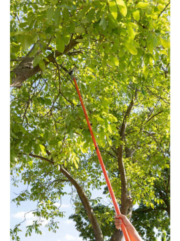 Black & Decker Baumsäge in Orange