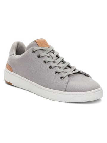 TOMS Sneakers in Grau