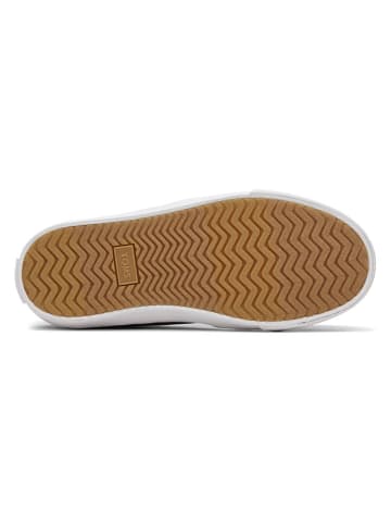 TOMS Sneakers in Hellbraun