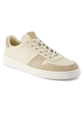 TOMS Leder-Sneakers in Beige