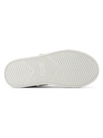 TOMS Sneakers in Creme