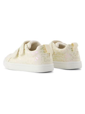 TOMS Sneakers in Creme