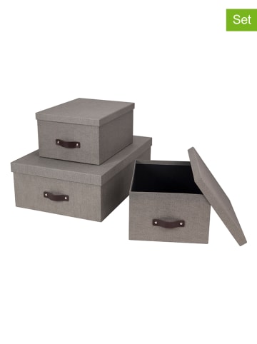 BigsoBox 3er-Set: Aufbewahrungsboxen "Inge" in Grau