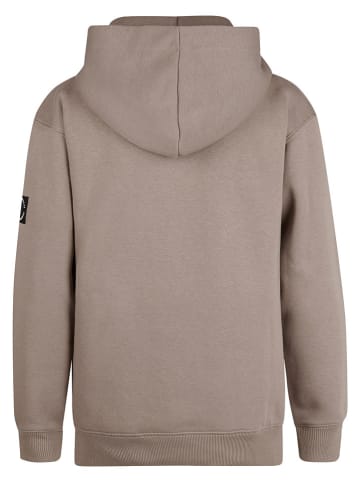 Petrol Industries Hoodie in Hellbraun