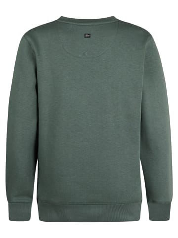 Petrol Industries Sweatshirt in Grün