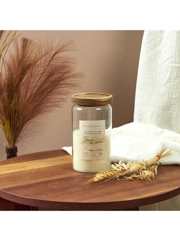 The Concept Factory Geurkaars crème - 675 g (verrassingsproduct)