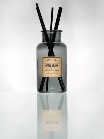 The Concept Factory Geurstokjes - 250 ml (verrassingsproduct)