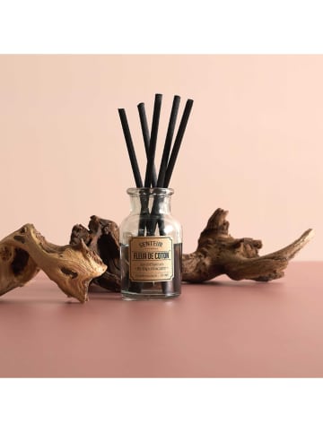Ethnical Life 3er-Set: Raumdüfte - 3x 50 ml (Überraschungsprodukt)