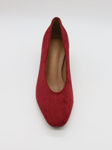 Bellucci Pumps in Bordeaux
