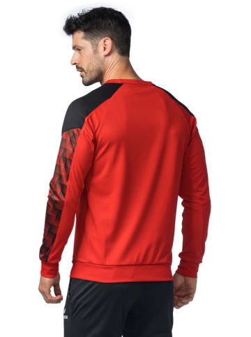 erima Sweatshirt "Evo Star" in Rot