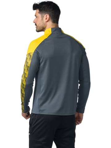 erima Trainingslongsleeve "Evo Star" in Grau