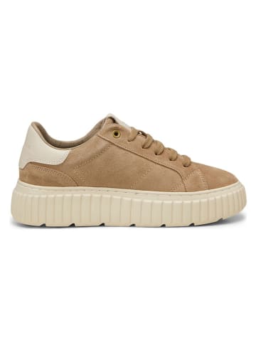 Marc O'Polo Shoes Leder-Sneakers in Beige