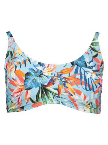 Venice Beach Bikini-Oberteil in Hellblau/ Bunt