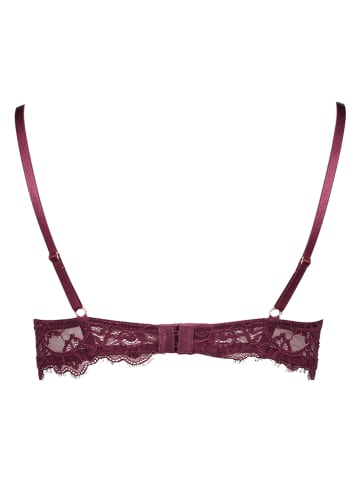 LASCANA Push-up-BH in Bordeaux