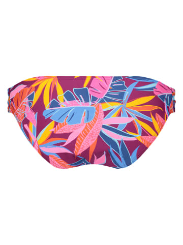 Buffalo Bikini-Hose in Lila/ Pink