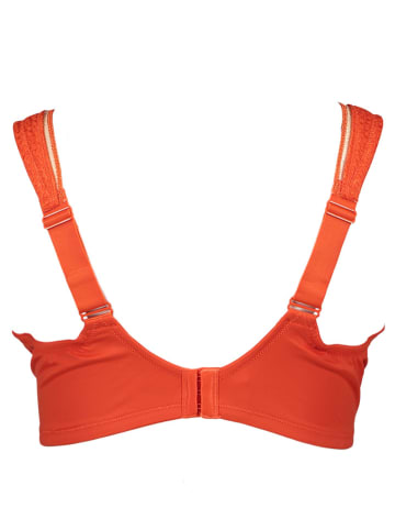 nuance Minimizer-BH in Orange