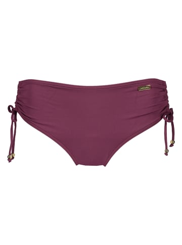LASCANA Figi bikini w kolorze ciemnofioletowym