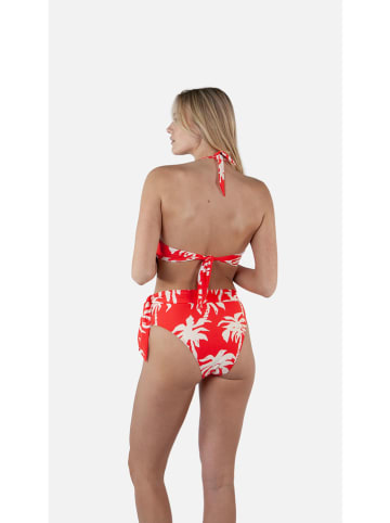 Barts Bikini-Hose "Norri" in Rot