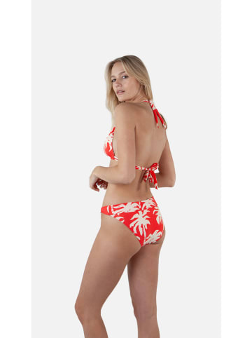 Barts Bikini-Oberteil "Norri" in Rot