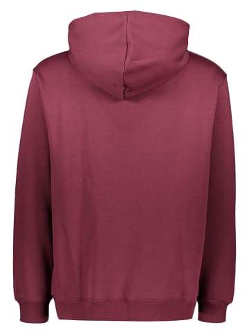 Reebok Hoodie "CL AE" in Bordeaux