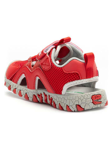 Bull Boys Halbsandalen "Spinosauro" in Rot