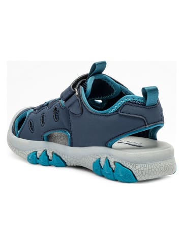 Bull Boys Halbsandalen "Mosasauro" in Blau