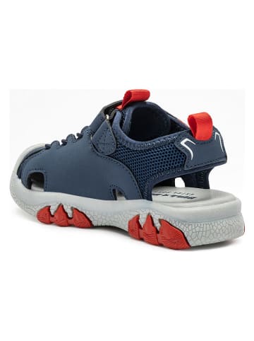 Bull Boys Halbsandalen "Velociraptor" in Dunkelblau