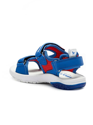 Bull Boys Sandalen "Aaron" in Blau