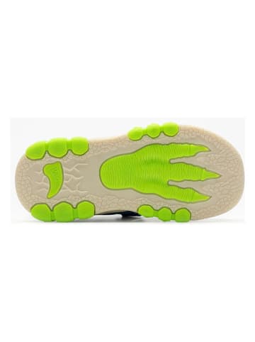 Bull Boys Enkelsandalen "T-Rex" blauw/groen