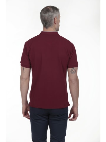 The Time of Bocha 2er-Set: Poloshirts in Bordeaux/ Türkis